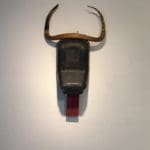 INGRID HONNETH - Stierkopf, 1989