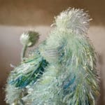 lorch+seidel Marta Klonowska jeune Femme en Robe à la Polonoise after Pierre-Thomas LeClerc