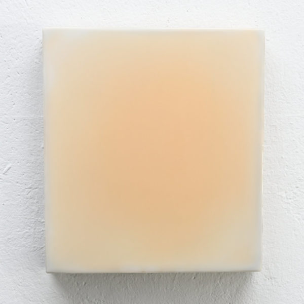DIRK SALZ - DSA/M 835 #2622, 2020