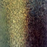 JÜRGEN DURNER - Kristallglas, 2022