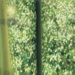 JÜRGEN DURNER - Schwinden der Sinne II, 2022