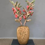 SUSANNE AUSLENDER - Willfull Blossom, 2022