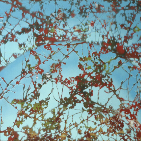 HANNAH BECHER - Rise or fall, 2022