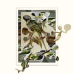 ROLAND STRATMANN - Birds E PC 1