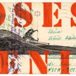 ROLAND STRATMANN - Ara Tricolor