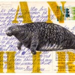 ROLAND STRATMANN - Manatus Australia
