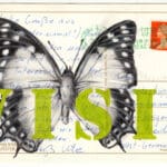 ROLAND STRATMANN - Polyura