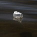 Julija_Goyd_The-Habitat_01