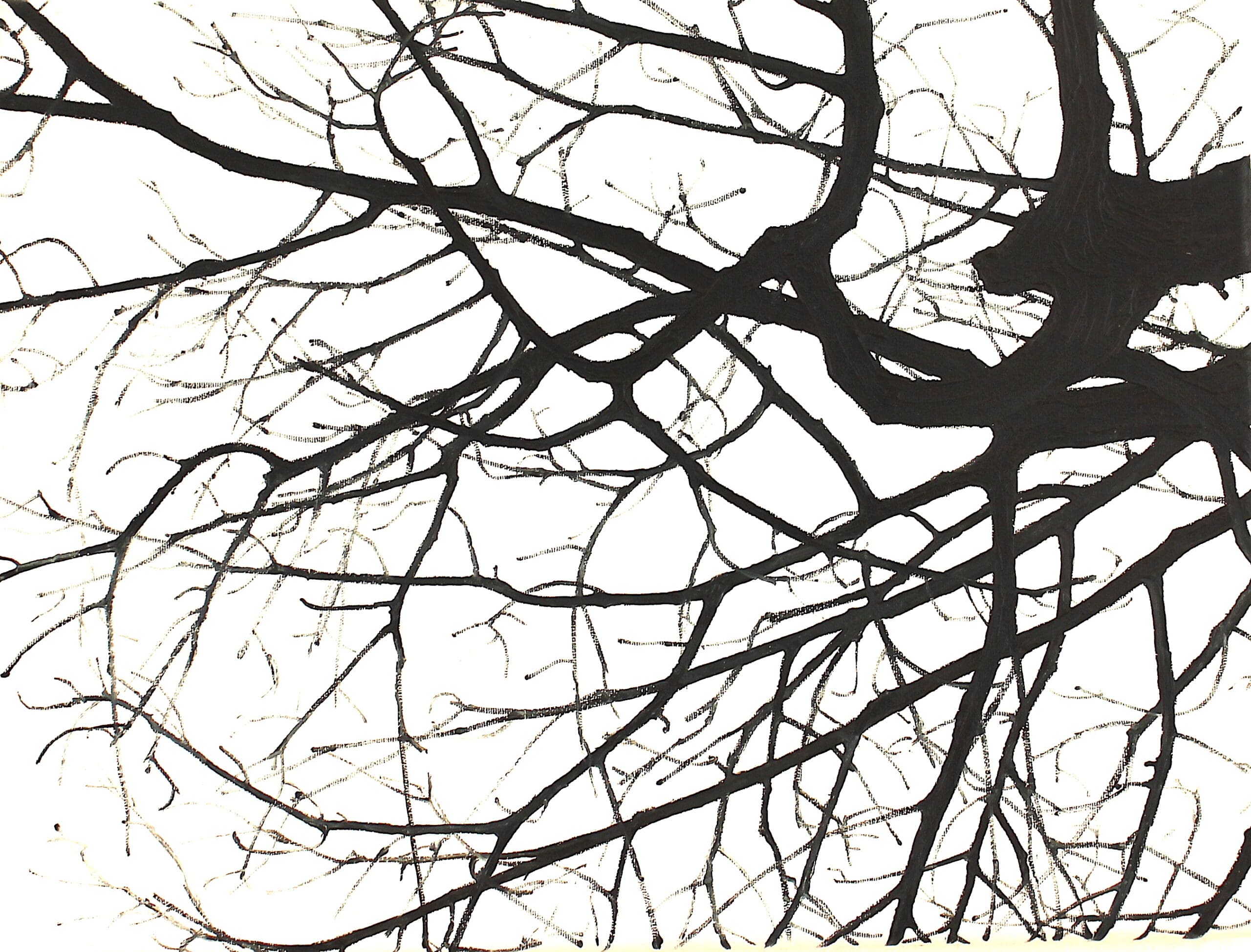 HELGE 2023_2 HELGE HOMMES - WALDESRUH - Image 1