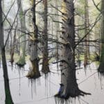 HELGE HOMMES & SAXANA -WISSEN UND VERGESSEN