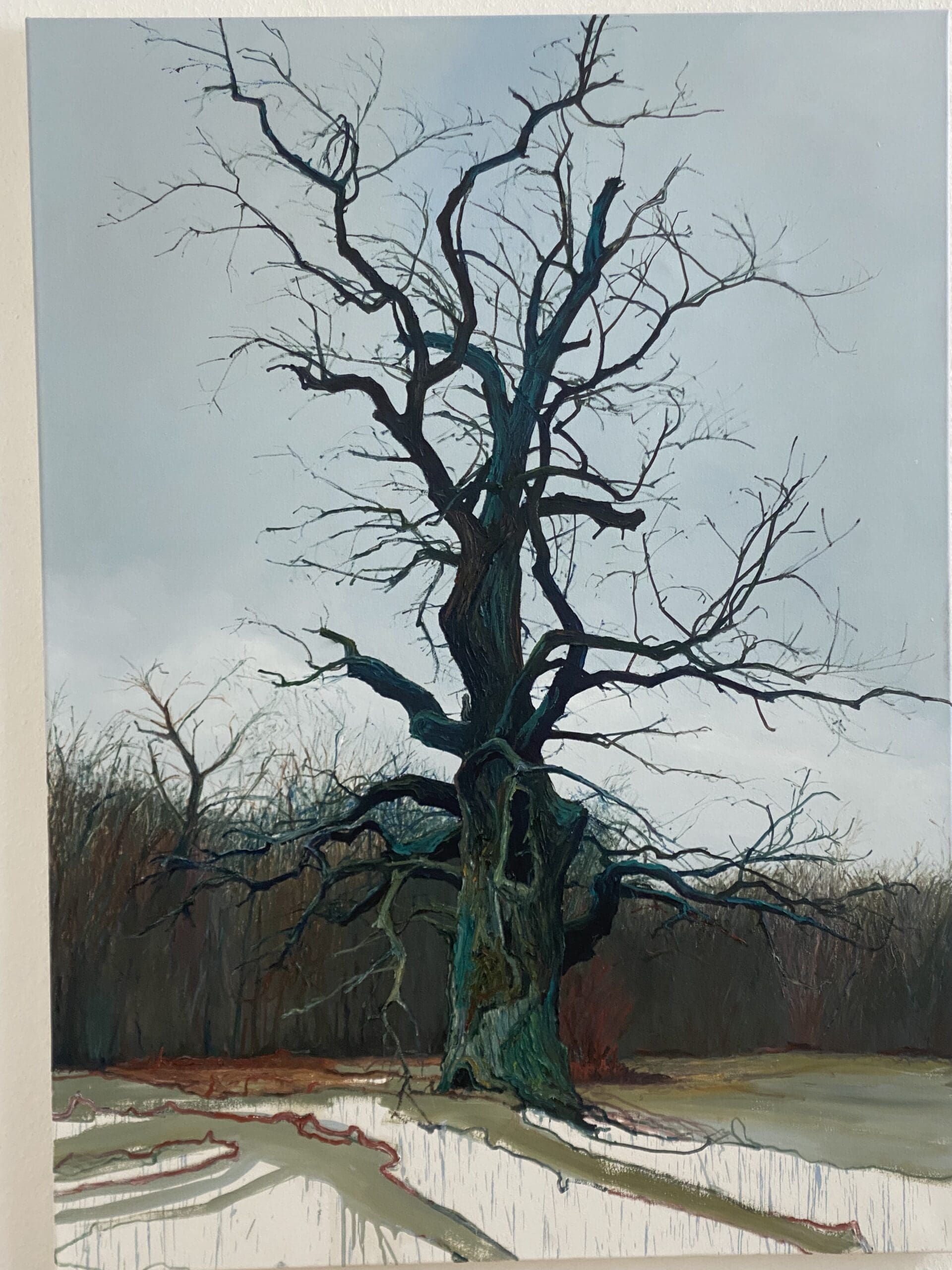 IMG_2084 HELGE HOMMES - DU / Baumporträt - Image 1