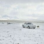 ART COMPASS - CSR ART - Louise Amelie - Snowy Surprise