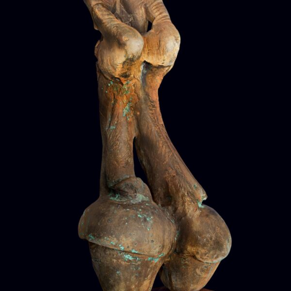 SUSANNE ROEWER - Canterville ghost
