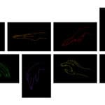 PAULA MUHR - Mind Reading