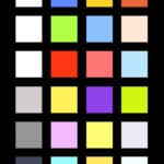 PAULA MUHR - Mis/ calibration (Borneville)