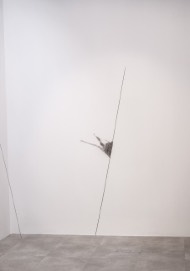 GAELLE CHOTARD - Sans Titre