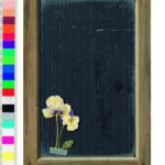 JAN PETER TRIPP - Les Pensées sont libres