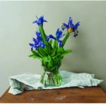 JAN PETER TRIPP - Les Fleurs du Mal