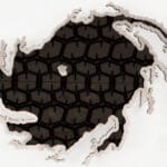 CARLO BORER - Hurricane_Florance-462