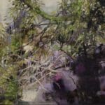 CAROLA SCHAPALS - Where the forest spirit lives