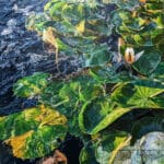 JOHANNES SCHRAMM - Westlicht