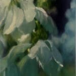 JÜRGEN DURNER - Blüten