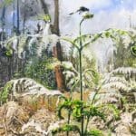 SAXANA - Phönixe und Feen