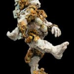 FLORIAN PELKA - Im Wolfspelz