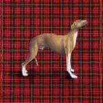 MICHAEL LAUTERJUNG - Nightingale of Goldenblue