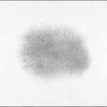 Regina Sell / Nr. 3,2018