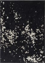 Regina Sell / Nr.13, 2009