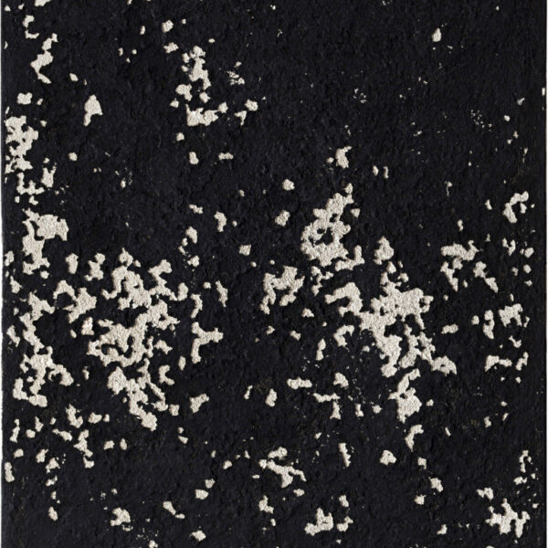 Regina Sell / Nr.13, 2009