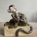 SILKE REHBERG - Gelbbrustkapuziner auf Plinte hockend