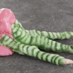 DIANE HAEFNER - Claw