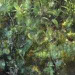 CAROLA SCHAPALS - Green emergence and disapearance