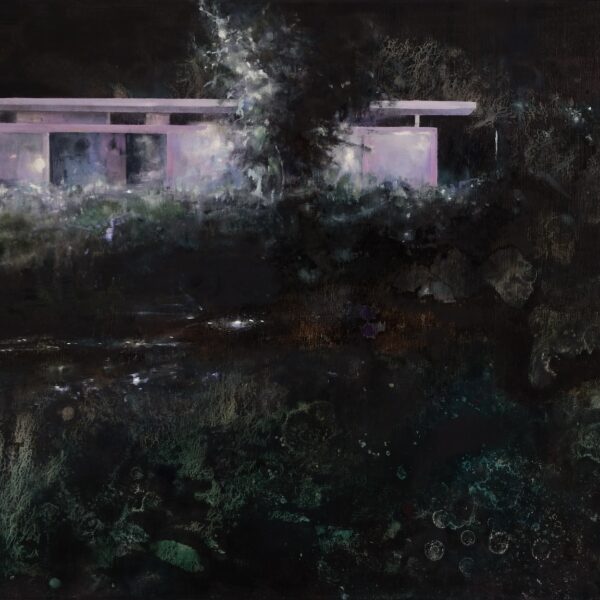 CAROLA SCHAPALS - In the glow of the moonstone