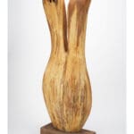 REINHARD FESCHAREK - Widerstrebend