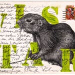 ROLAND STRATMANN - IBDMW Europ Ziesel