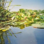 JOHANNES SCHRAMM - Bugasee