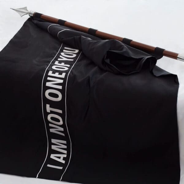 ART COMPASS - MK Kaehne - Flagge - Foto Robert Luedtke