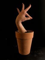 Nazar Kvazar | Phoenix, 2026 - Image 2