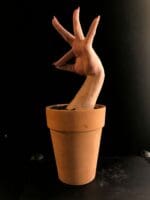 Nazar Kvazar | Phoenix, 2026