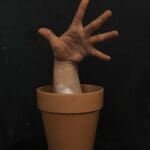 Nazar Kvazar | Flower, 2025