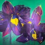 Jonas Hödicke | Orchids, 2024